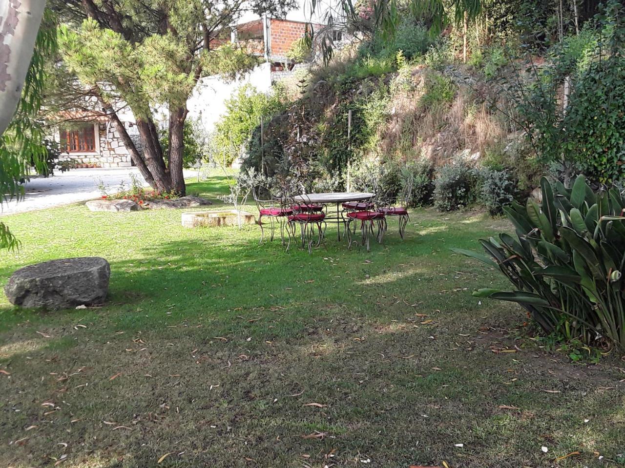 Casa De Crespins Casa De Campo Lda Cristelo  Екстериор снимка